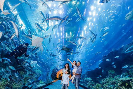 Discover Dubai - Travel & Tourism