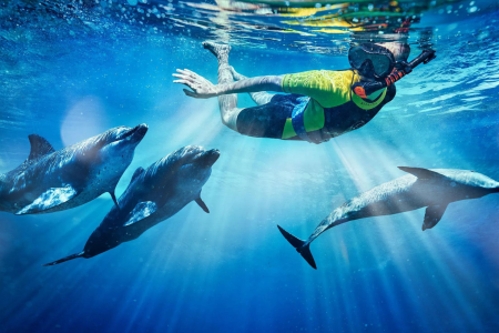 Discover Dubai - Travel & Tourism