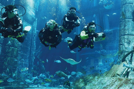 Discover Dubai - Travel & Tourism