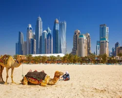 20-things-to-know-before-you-move-to-the-uae-1-scaled